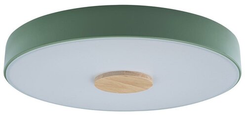 Накладной светильник Loft it Axel 2 10003/24 Green