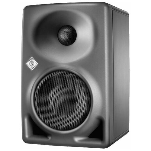 Neumann KH 80 DSPAG-EU Двухполосный активный монитор с двумя усилителями с цифровым процессором 7957000₽