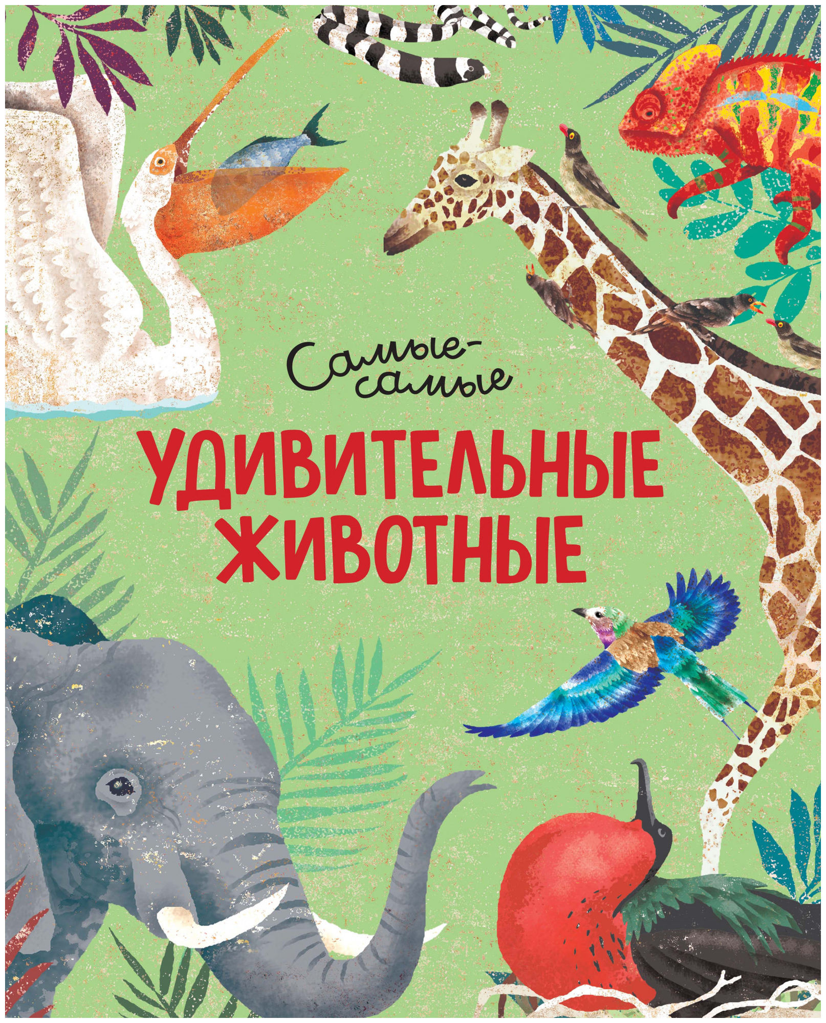 Рахван Д. "Книга Удивительные животные. Самые-самые. Рахван Д."