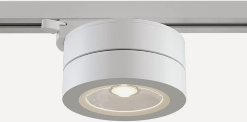Изображение товара Трековый светодиодный светильник Maytoni Track TR006-1-12W3K-W4K