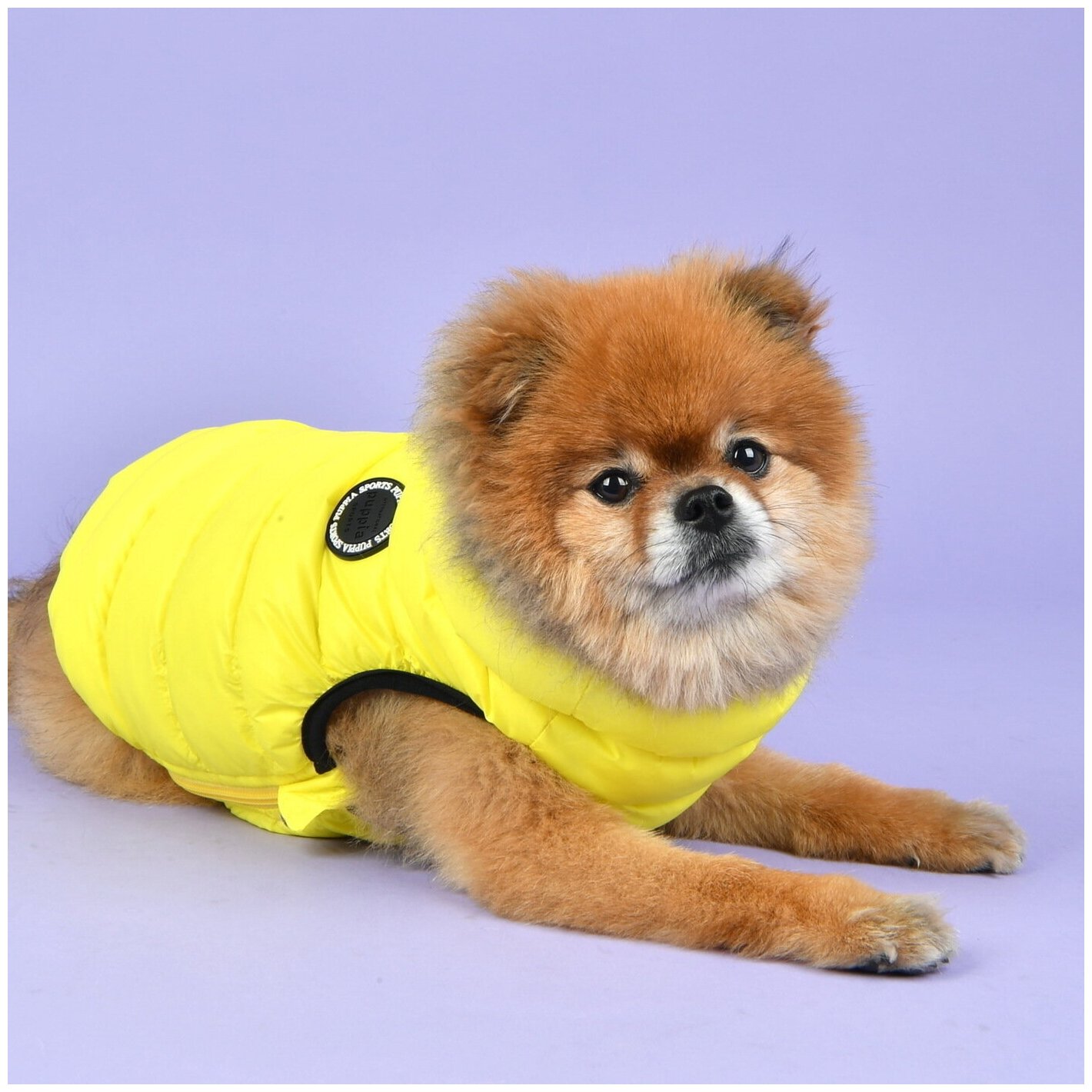PUPPIA Жилет для собак утеплённый р-р XXL "Ultra Light Vest B", желтый - фотография № 4