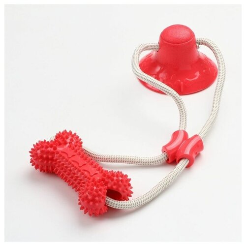 Игрушка на присоске для собак Косточка игрушка на шнурке для собак устойчивая к укусам молярам устройству утечки пищи вентиляционное отверстие резиновый мяч интерактивная иг