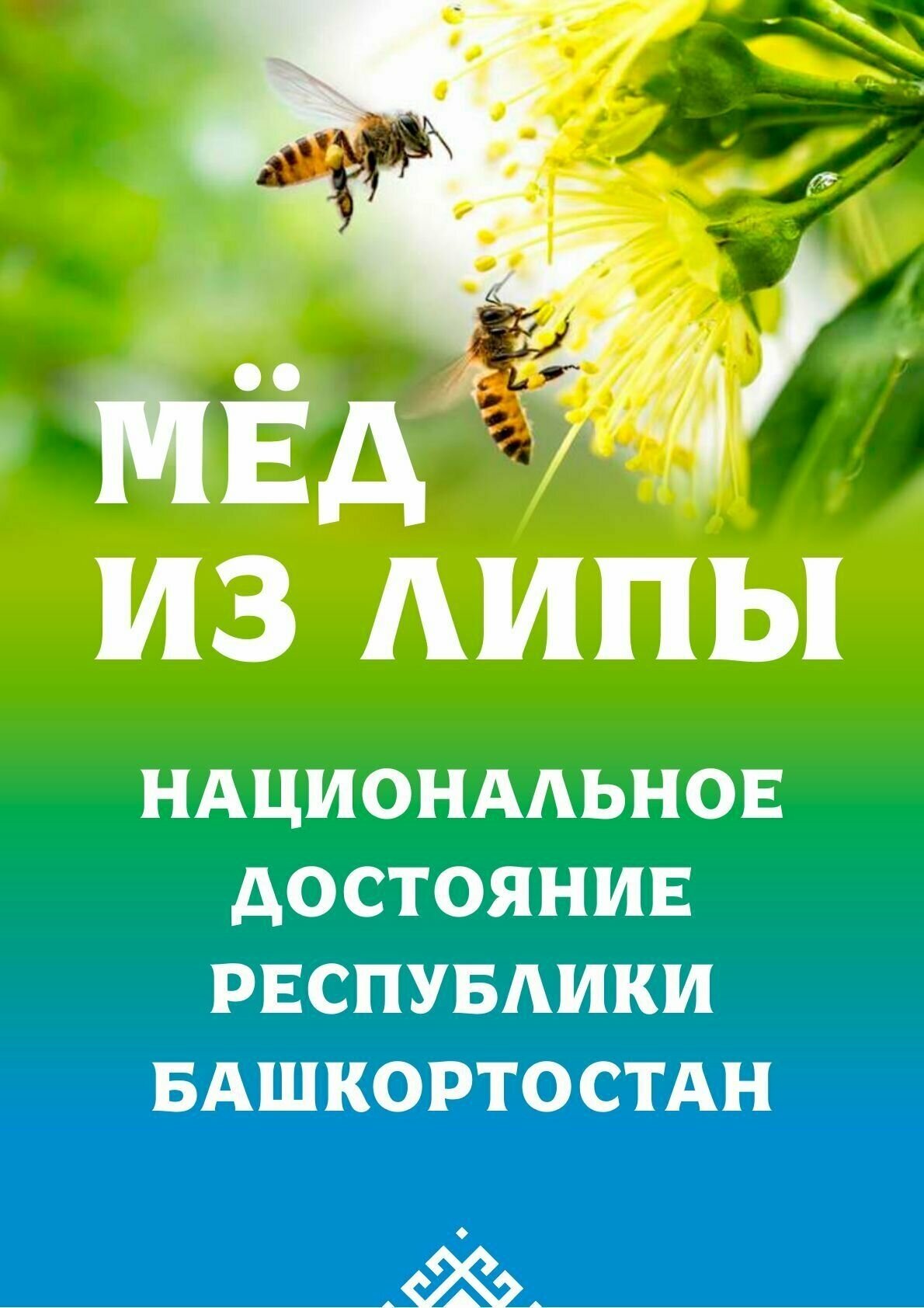 Мед липовый башкирские пасеки , 500 гр. сбор 2023 года - фотография № 8