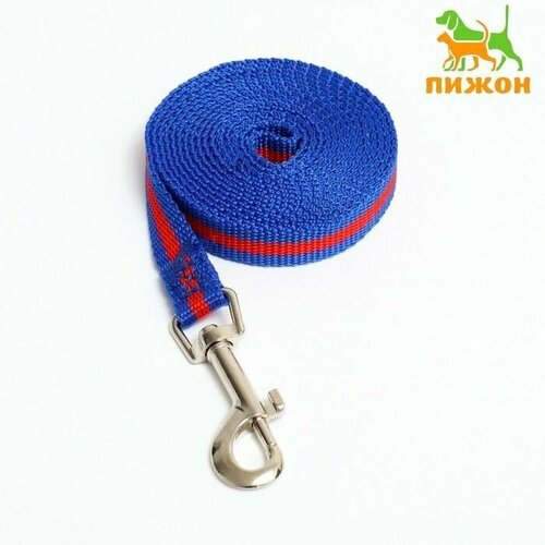 Поводок 2 м х 15 см сине-красный 800₽