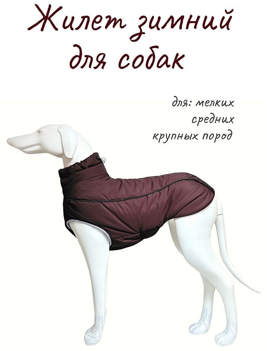 Жилет для собак унисекс, размер 25, бордовый цвет - фотография № 1
