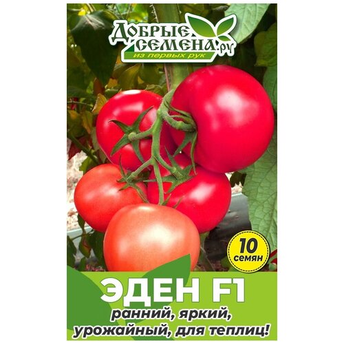 Семена томата Эден F1 - 10 шт - Добрые Семена. ру