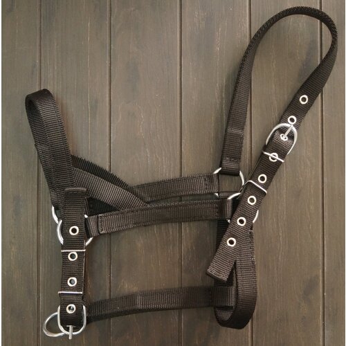 Недоуздок ременной двойной, COB- Full, черный , 2 пряжки.