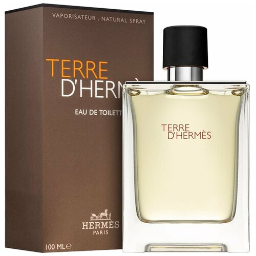 Hermes Terre D #39; Hermes Pour Homme Туалетная вода 100мл terre d hermes pour homme духи 75мл уценка