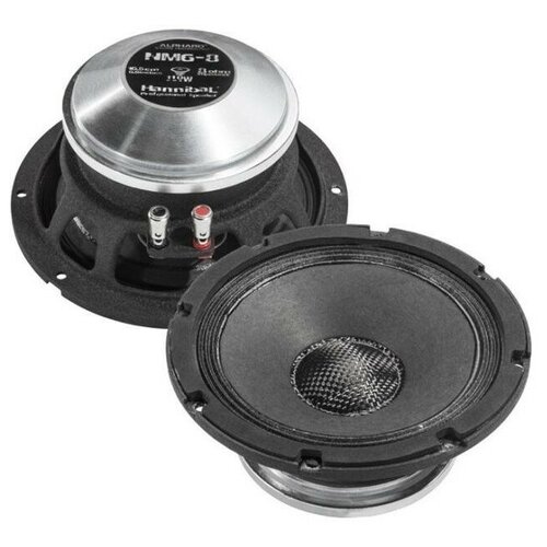 Акустика Alphard Hannibal NM-6 8OHM -1шт 699000₽