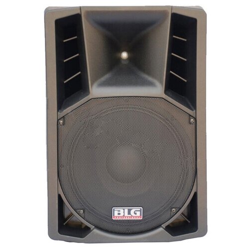 Активная акустика BLG Т12A 2854200₽
