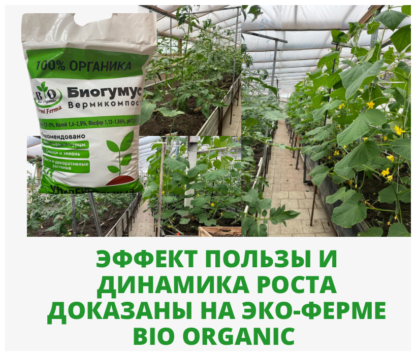 Биогумус Bio Organic (Вермикомпост)/ органическое удобрение универсальное - фотография № 4