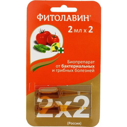 Ампула от болезней растений Фитолавин, 2 мл. 2 шт в упаковке фитолавин пласт ампула 4 мл