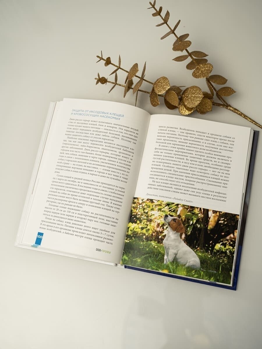 Книга Dog-Профи Джек Рассел терьер Серова О. Дегтярь И. - фото №4