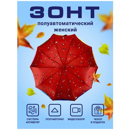 Зонт полуавтомат с принтом мужской и женский облегченный от дождя с непромокаемым куполом, складной для девочки и мальчика с системой антиветер