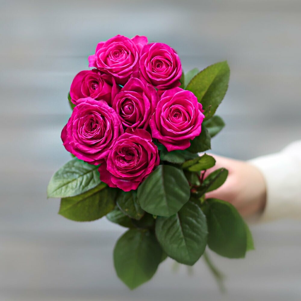 Букет живых цветов из 7 малиновых роз (Россия) с лентой 60 см