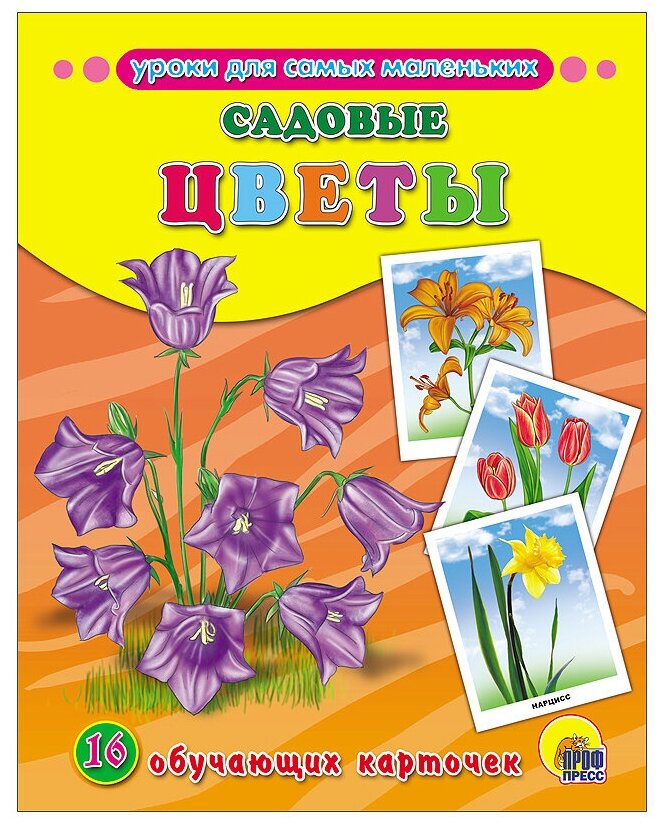 Книга Проф-Пресс Садовые цветы