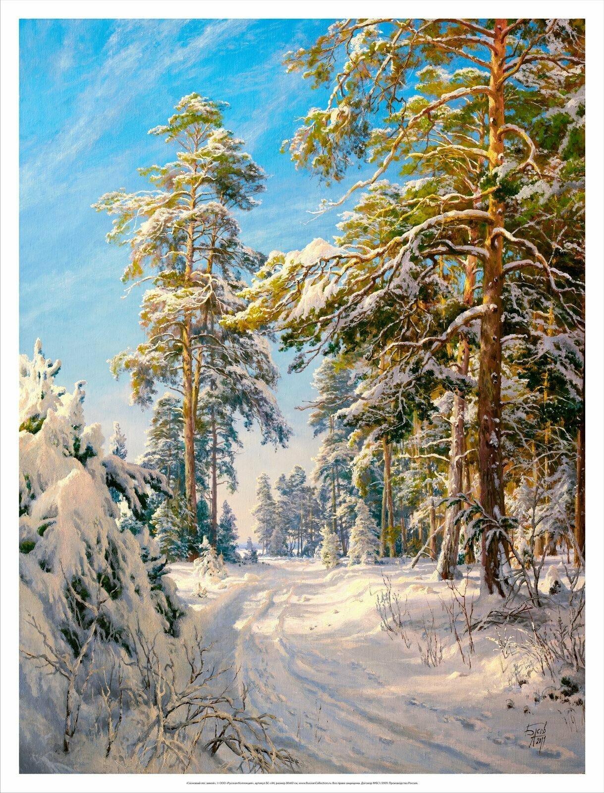 Постер на холсте, "Сосновый лес зимой", 80х60 см, художник - Басов Сергей. Холст в рулоне, Арт. БС-р44