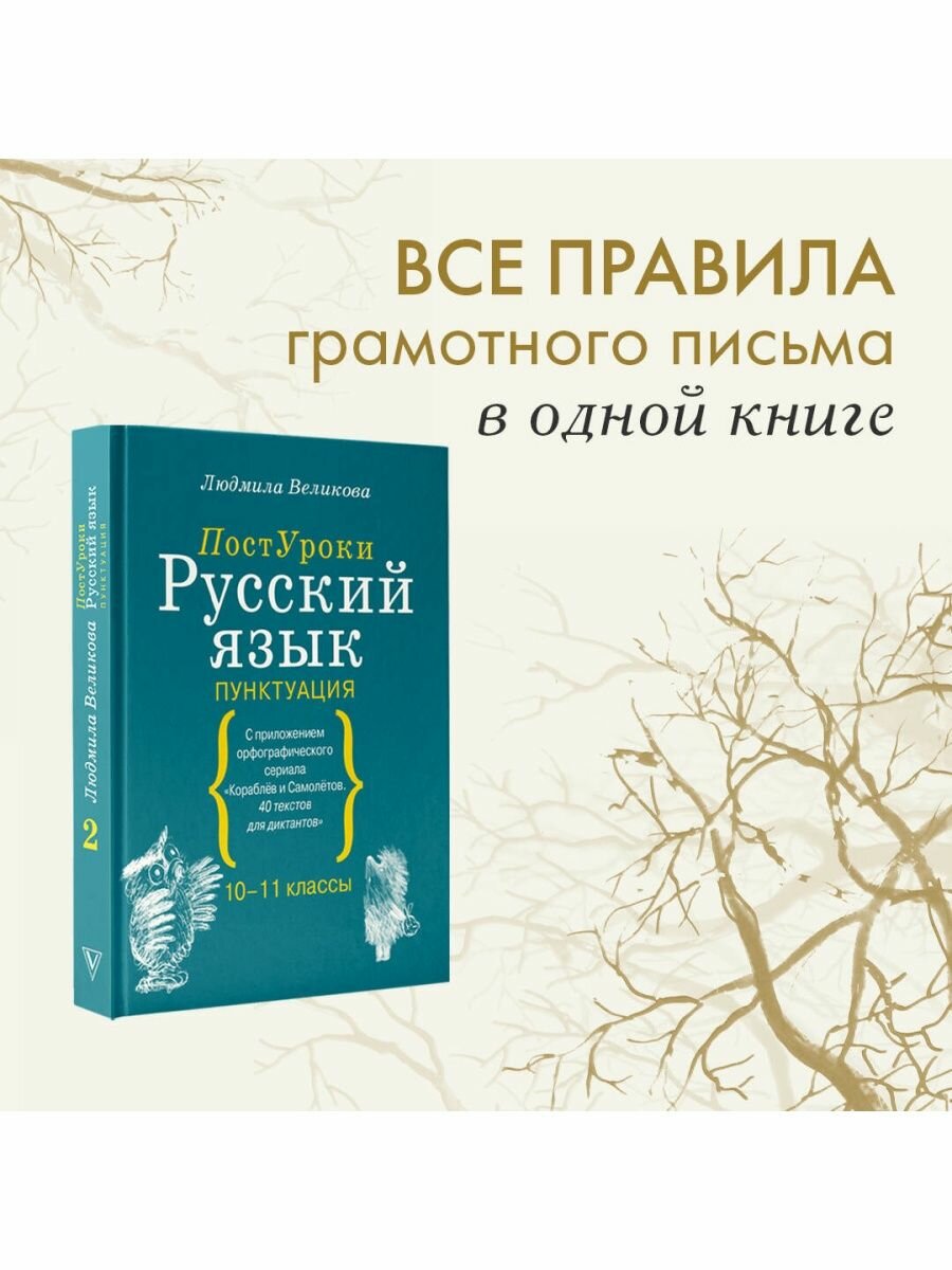 Русский язык. Пунктуация (Великова Людмила Викторовна) - фото №4