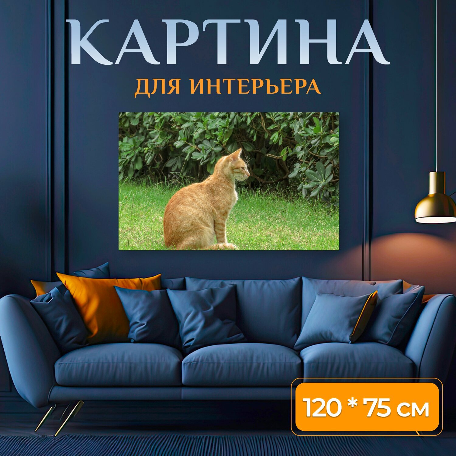 Картина на холсте "Кошка кошачий одомашненный" на подрамнике 120х75 см. для интерьера