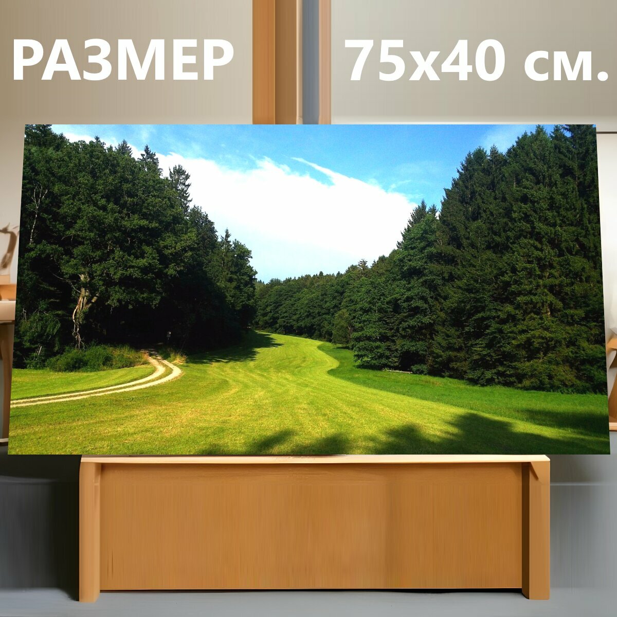 Картина на холсте "Лес, солнце, деревья" на подрамнике 75х40 см. для интерьера