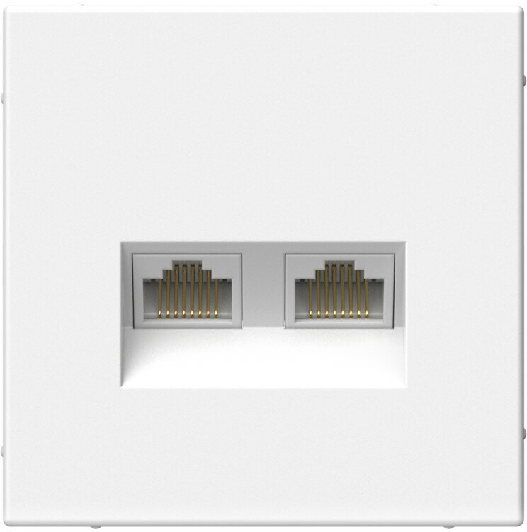 Розетка информационная RJ45 двойная категория 6a Systeme Art Gallery (Белый)