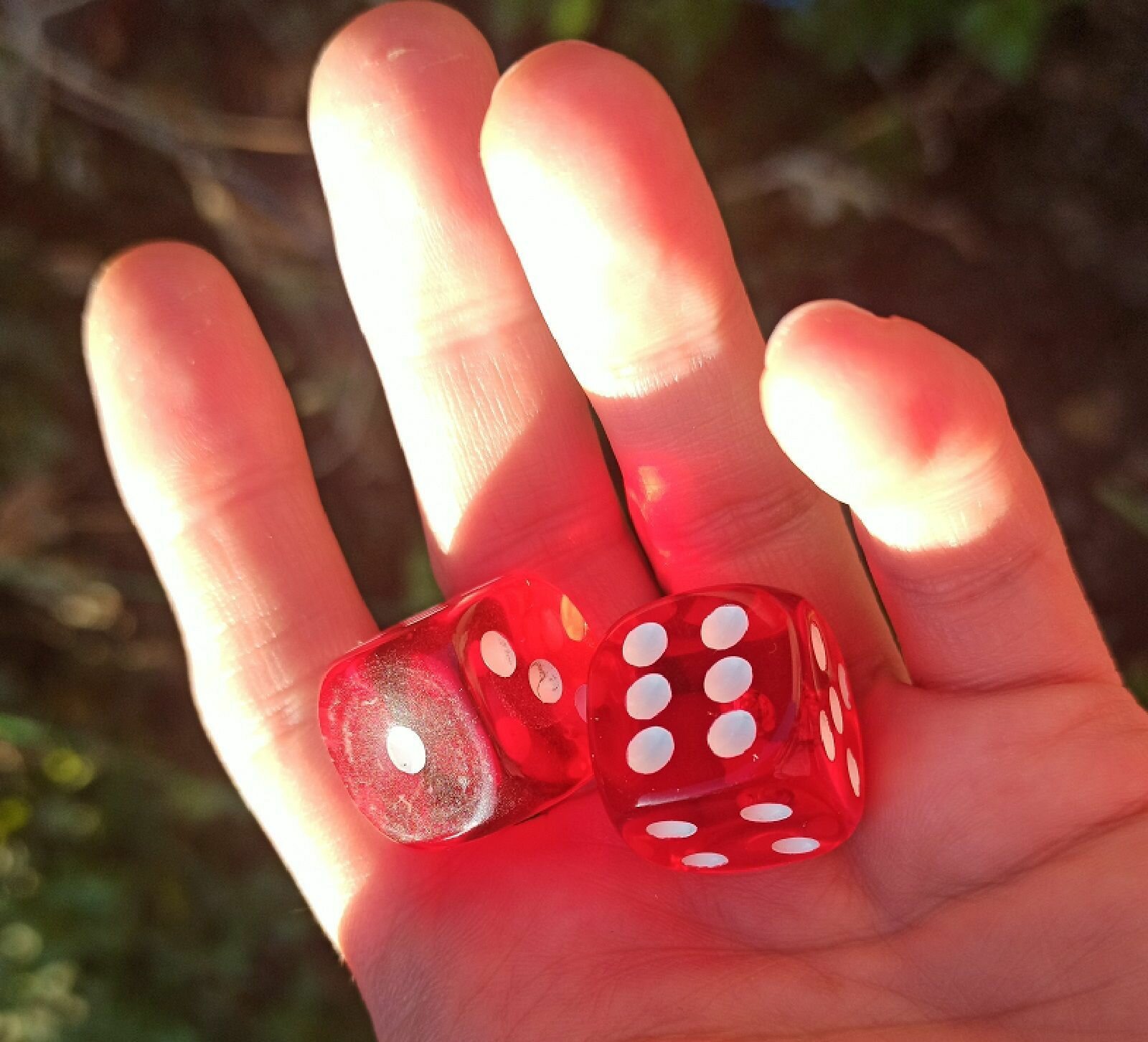 Кубики крупные 19*19 мм — фото 1