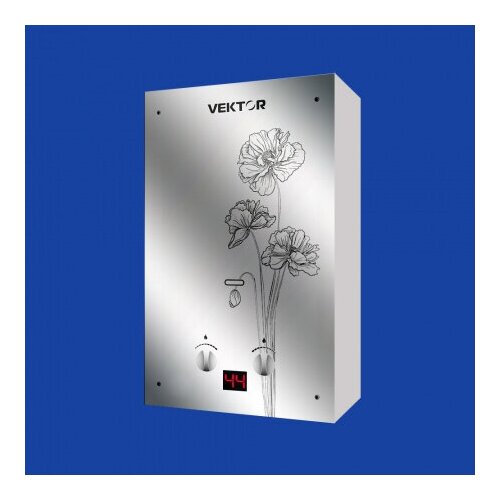 Проточный газовый водонагреватель VEKTOR 10 G черный цветок 1255000₽