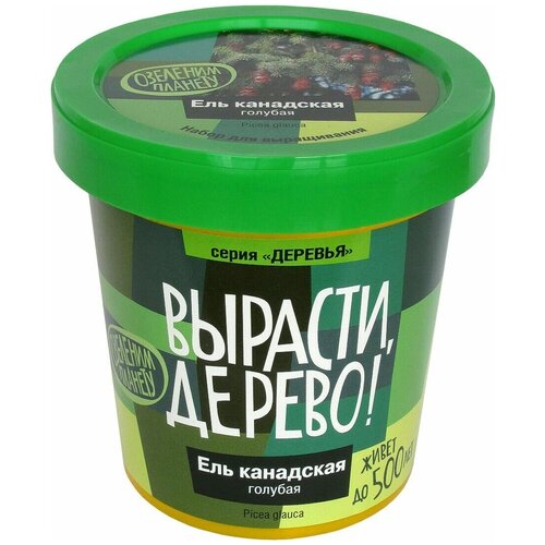 Подарочный набор для выращивания растений 