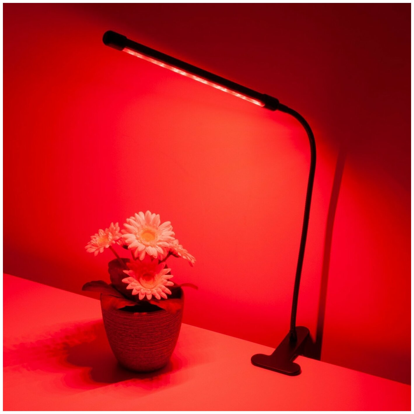 Фитолампа для растений 3 режима свечения / светильник светодиодный для растений / фитосветильник на прищепке / фито лампа для рассады - фотография № 13