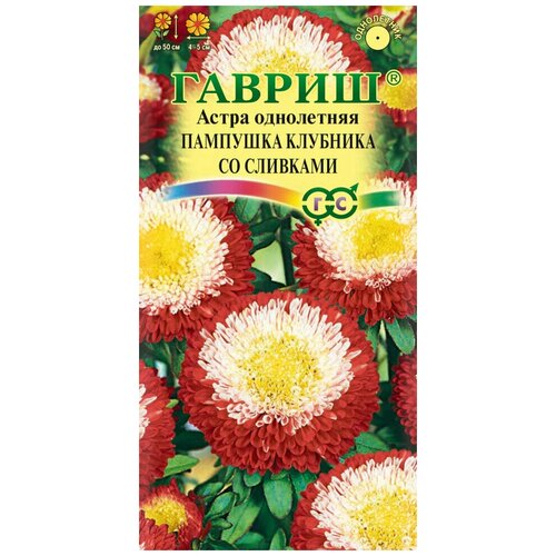 Гавриш Астра Пампушка клубника со сливками, однолетняя помпонная 0,3 гр астра пампушка голубика со сливками помпонная 0 3г одн 50см гавриш 10 пачек семян