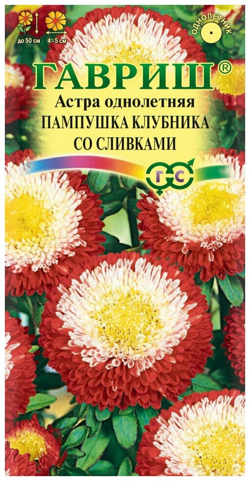 Гавриш Астра Пампушка клубника со сливками однолетняя помпонная 03 гр