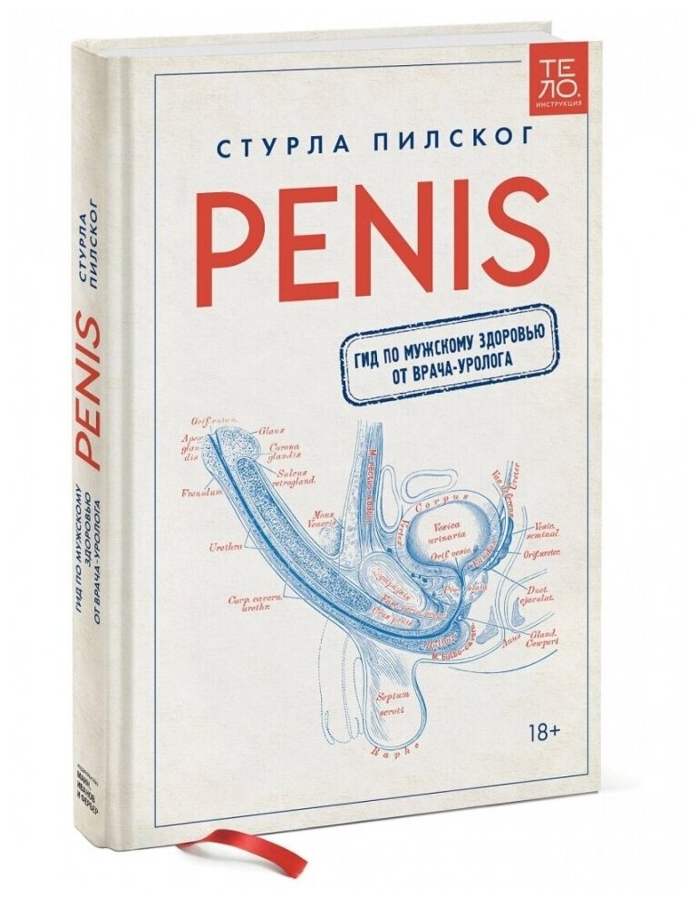 Penis (Стурла Пилског) - фото №8