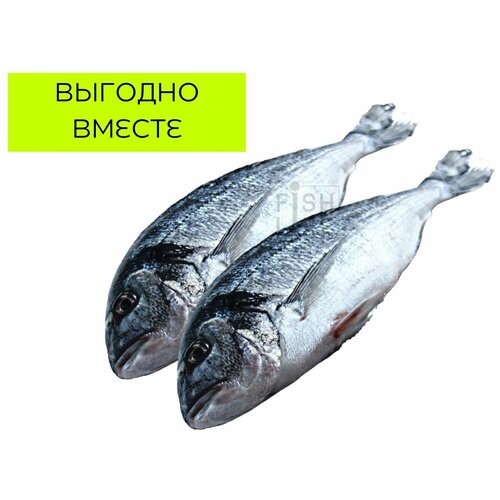 Дорадо 300-400 свежемороженная, 10кг (FISHLIFE)