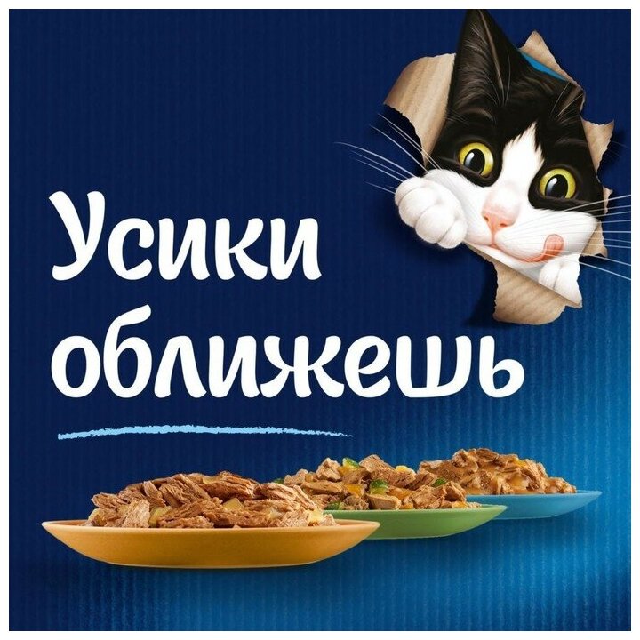 Влажный корм для кошек Felix аппетитные кусочки, двойная вкуснятина, с говядиной и домашней птицей 85 г (кусочки в желе) - фотография № 13