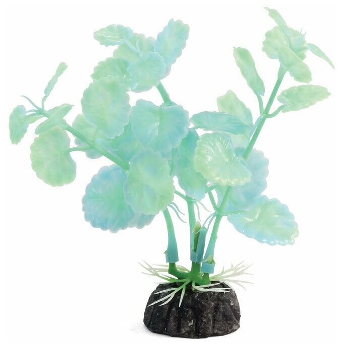 Растение светящееся "Щитолистник" зеленый, 100мм, (пакет), 1шт