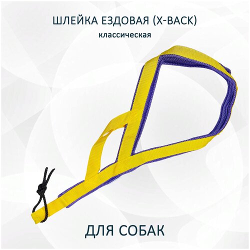 Шлейка ездовая totemica для собак X-Back, классическая "Жёлто-фиолетовая" L