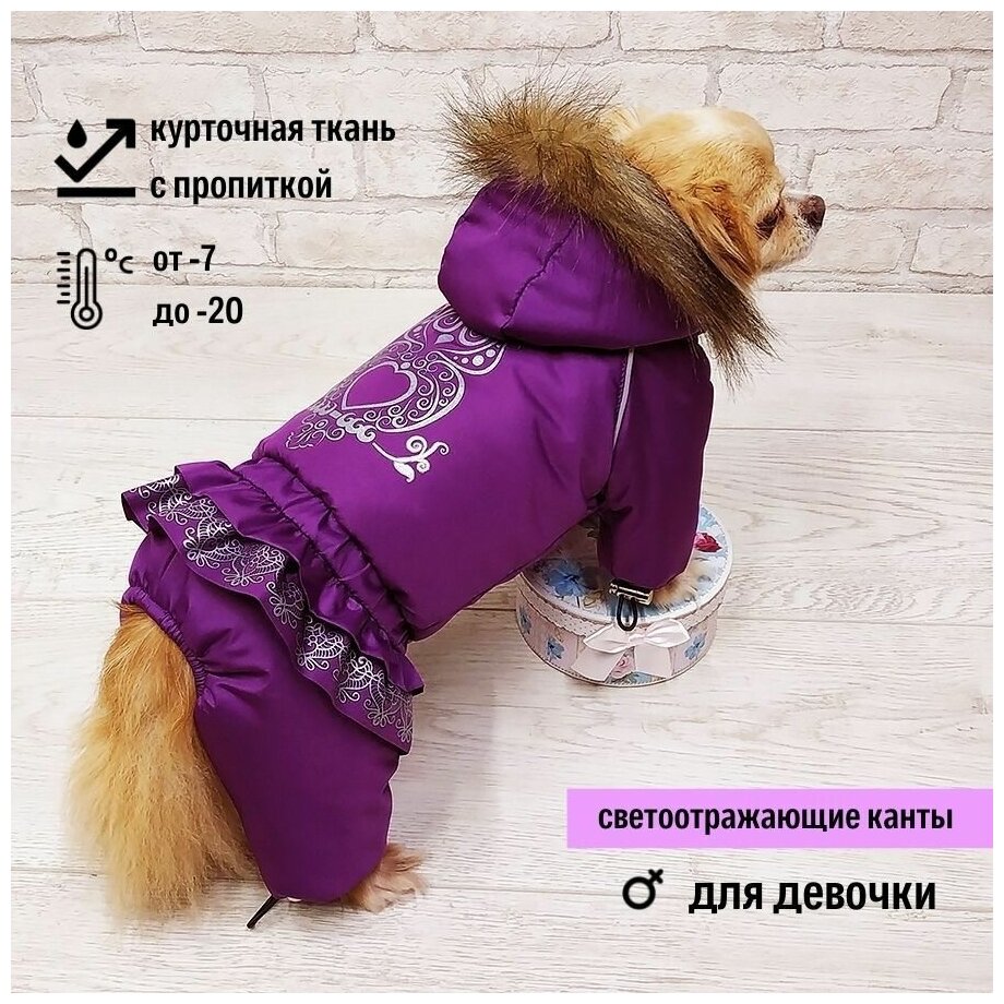 Зимний комбинезон для собак мелких пород (для девочки) "Dilai" LACE костюм ML фиолетовый - фотография № 1