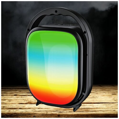 Портативная акустическая система Ginzzu GM-913B черный 119300₽