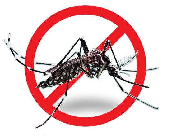 Аэрозоль от комаров «Рефтамид Усиленный» 150мл - фотография № 5