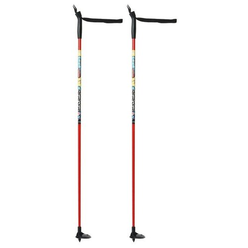 Палки лыжные стеклопластиковые, 100 см, цвета микс