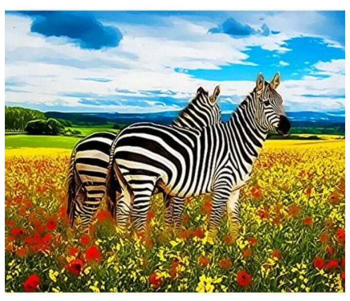 Картина по номерам на холсте и подрамнике 40x50 см / рисование по номерам / Зебры в цветочном поле