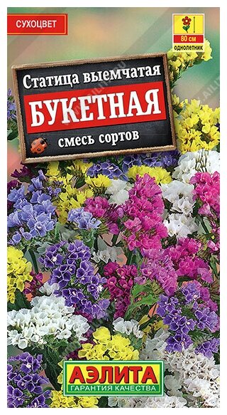 Статица Букетная смесь сортов (02 г) 2 пакета