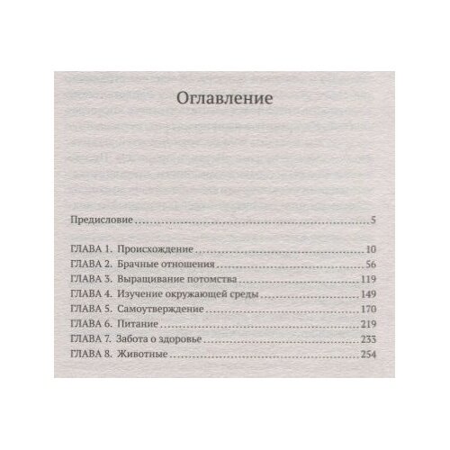 Голая обезьяна (Кузнецов Виктор Васильевич (переводчик), Моррис Десмонд) - фото №6