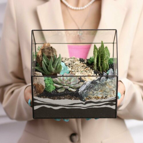 Флорариум с суккулентами 