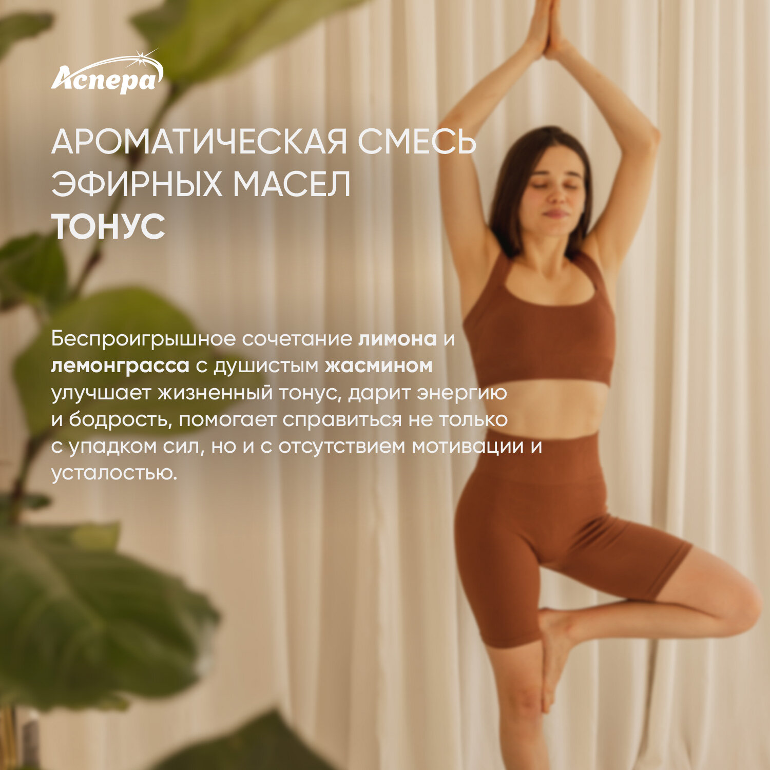 Ароматическая смесь эфирных масел Тонус диффузор 50мл АСПЕРА - фото №2