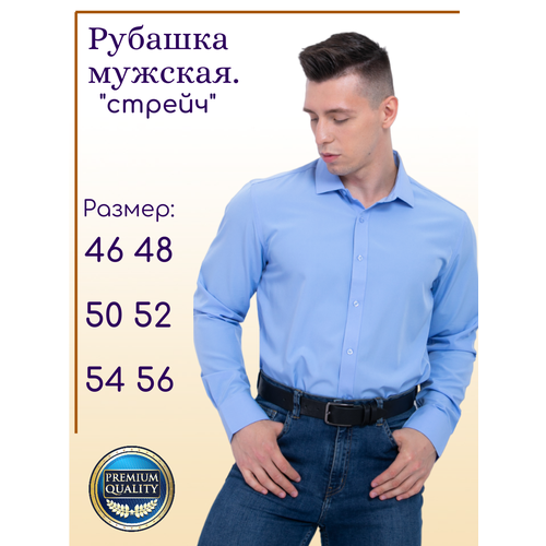 Рубашка Palmary Leading, размер 46, голубой