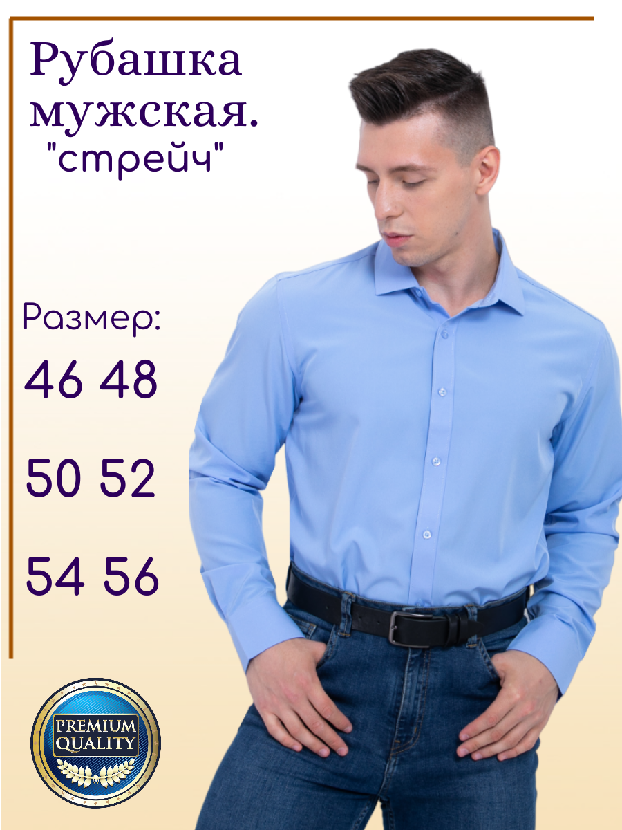 Рубашка Palmary Leading голубой 