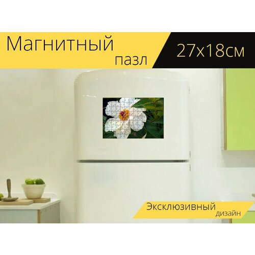 Магнитный пазл Пион, куст пион, древовидный пион на холодильник 27 x 18 см.