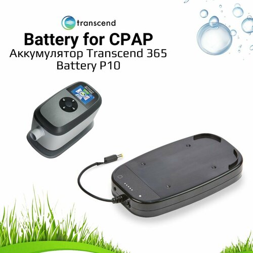 Аккумулятор Transcend 365 Battery P10