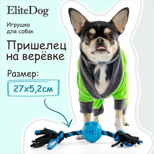 EliteDog Игрушка для собак "Пришелец на верёвке", чёрно-синяя, 5.2см